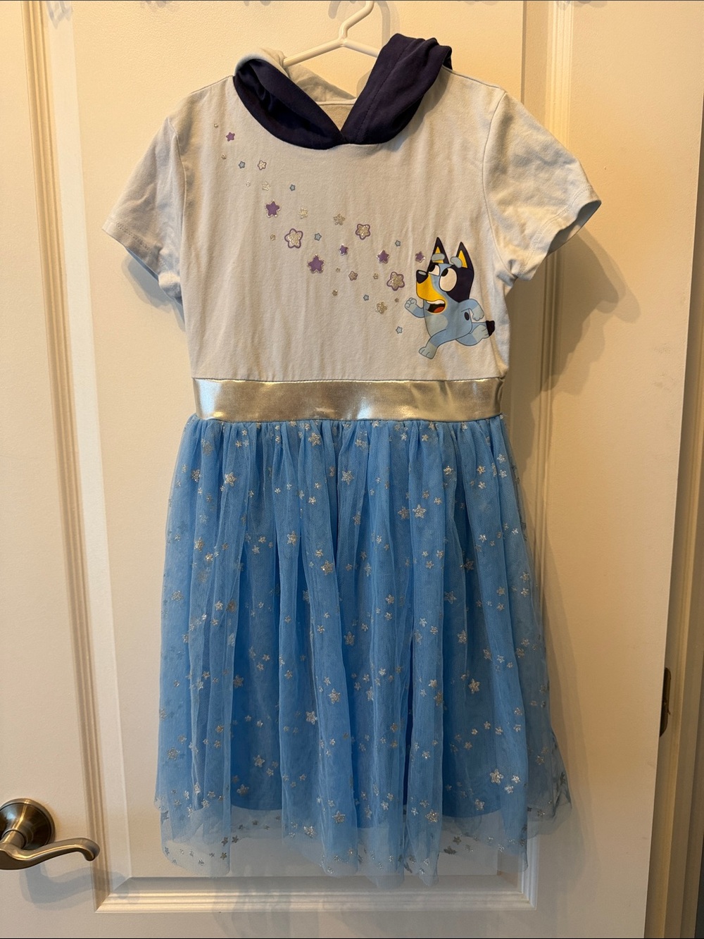 Bluey Hooded Kids Dress with Silver Waistband